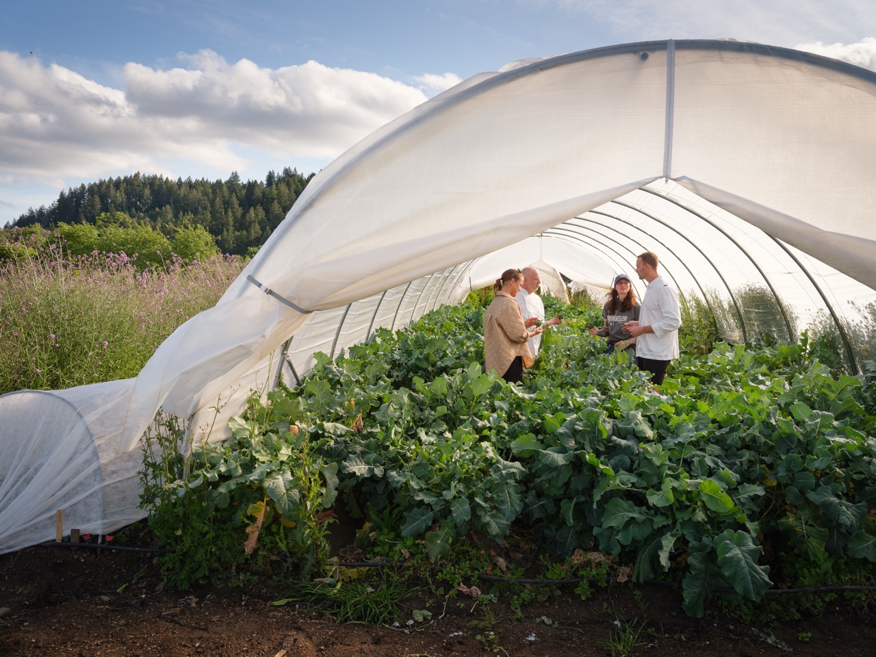Staff members standing in a polytunnel full of produce at Singlethread Farm