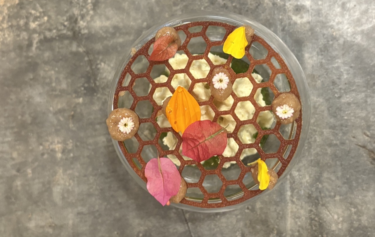 Overhead shot of beautiful food against grey background at Chef's Garden Puerto Rico