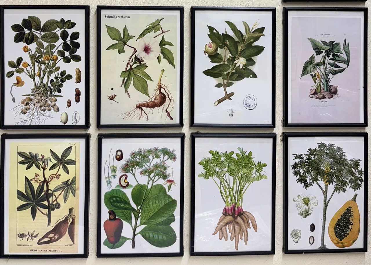 Wall art showing plant foods at Chef's Garden Puerto Rico