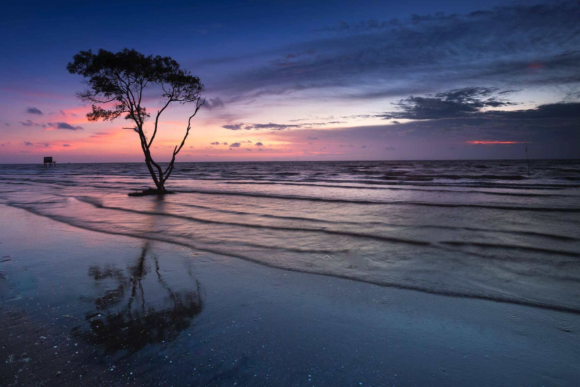 A beach at dawn