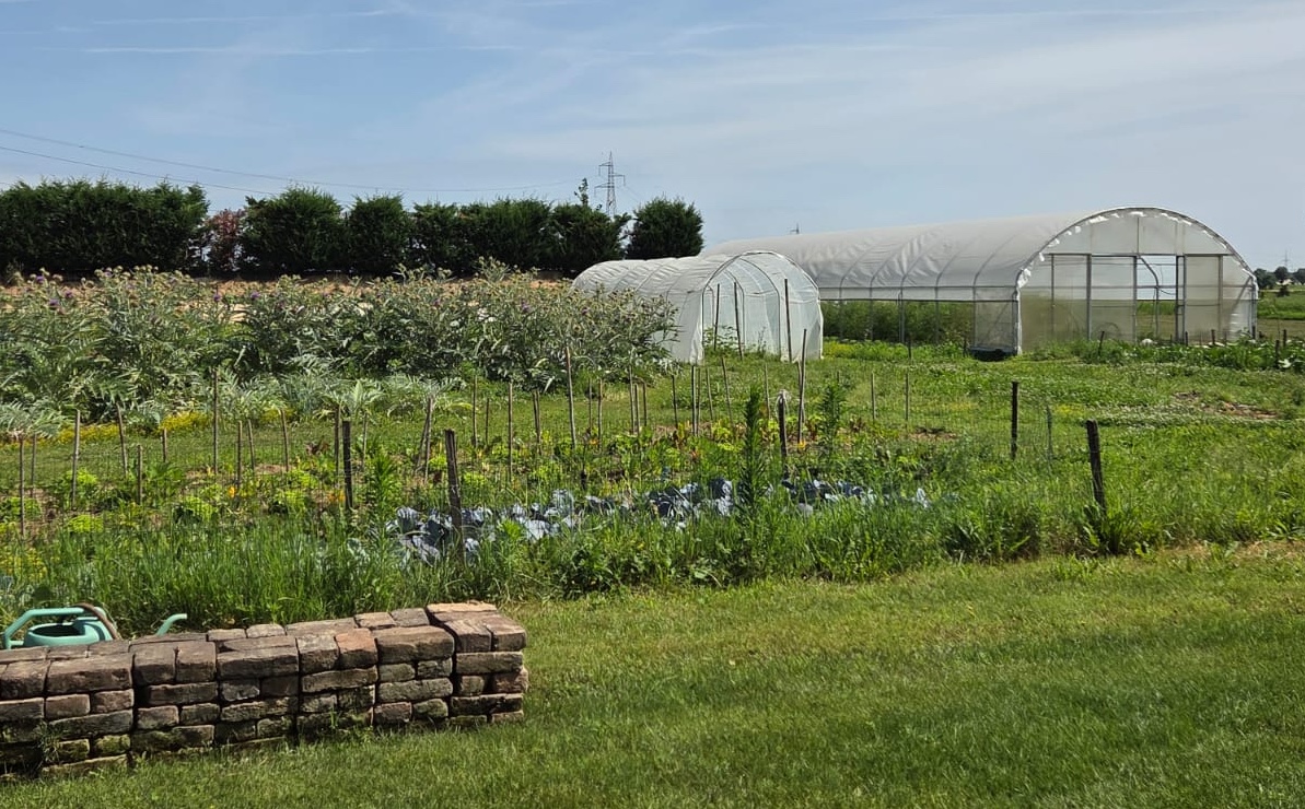 View of a vegetable farm with polytunnels, on a sunny day