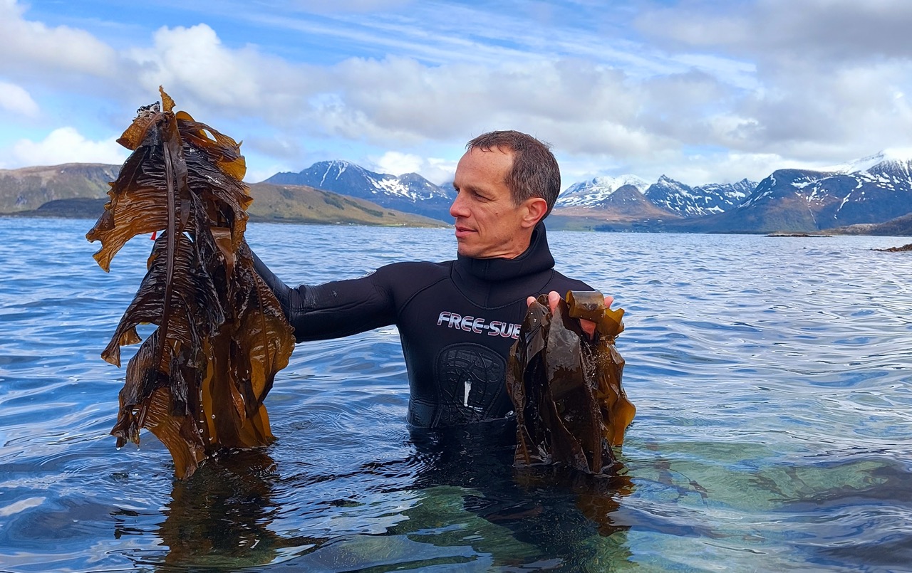 Vincent Doumeizel in a wetsuit standing in waist-deep water holding seaweed in both hands