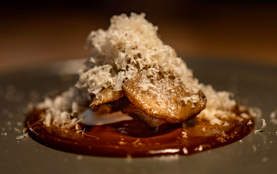 Beautiful vegetable and cheese dish against brown background at Lunario restaurant, Mexico