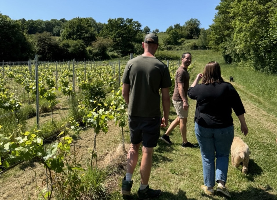 People walking around Pasture's Buttercliffe Farm on a sunny day