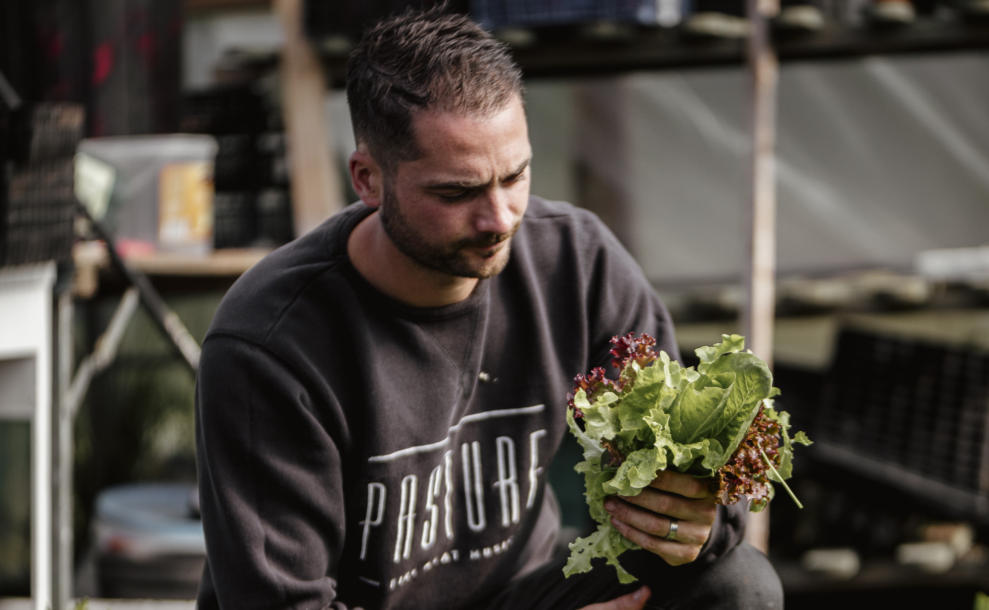 Sam Elliott of Pasture holding head of lettuce