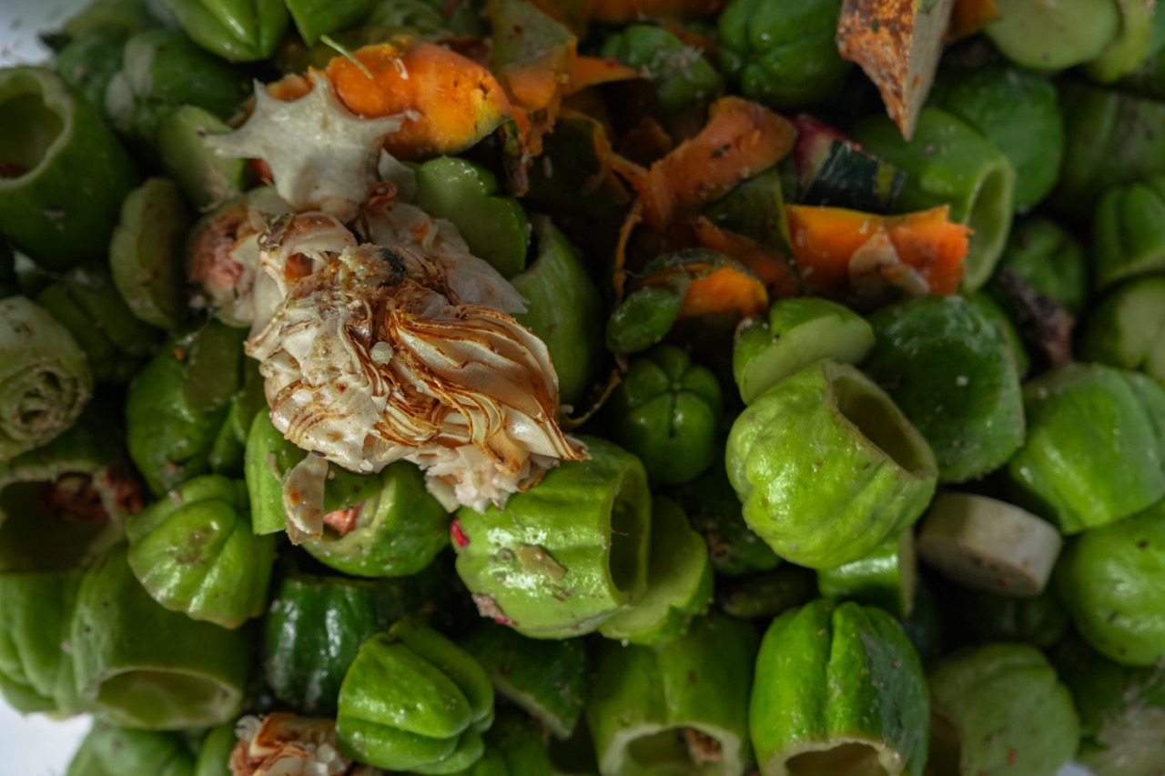Close up of food scraps