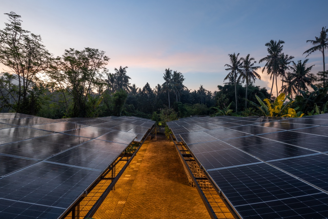 Solar panels at Locavore NXT, Bali