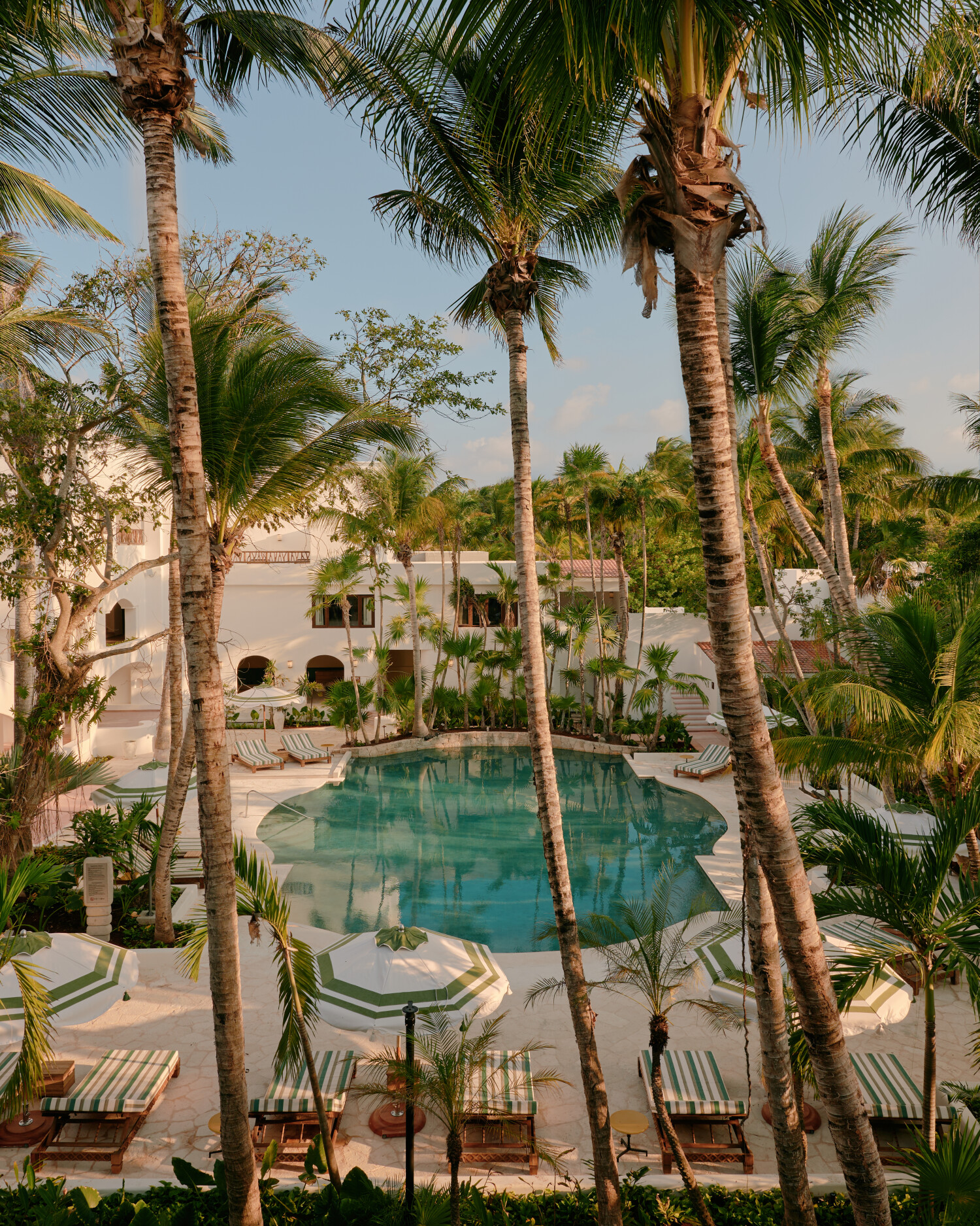 Exterior shot of pool at Belmond Maroma Hotel Mexico, with tall palm trees