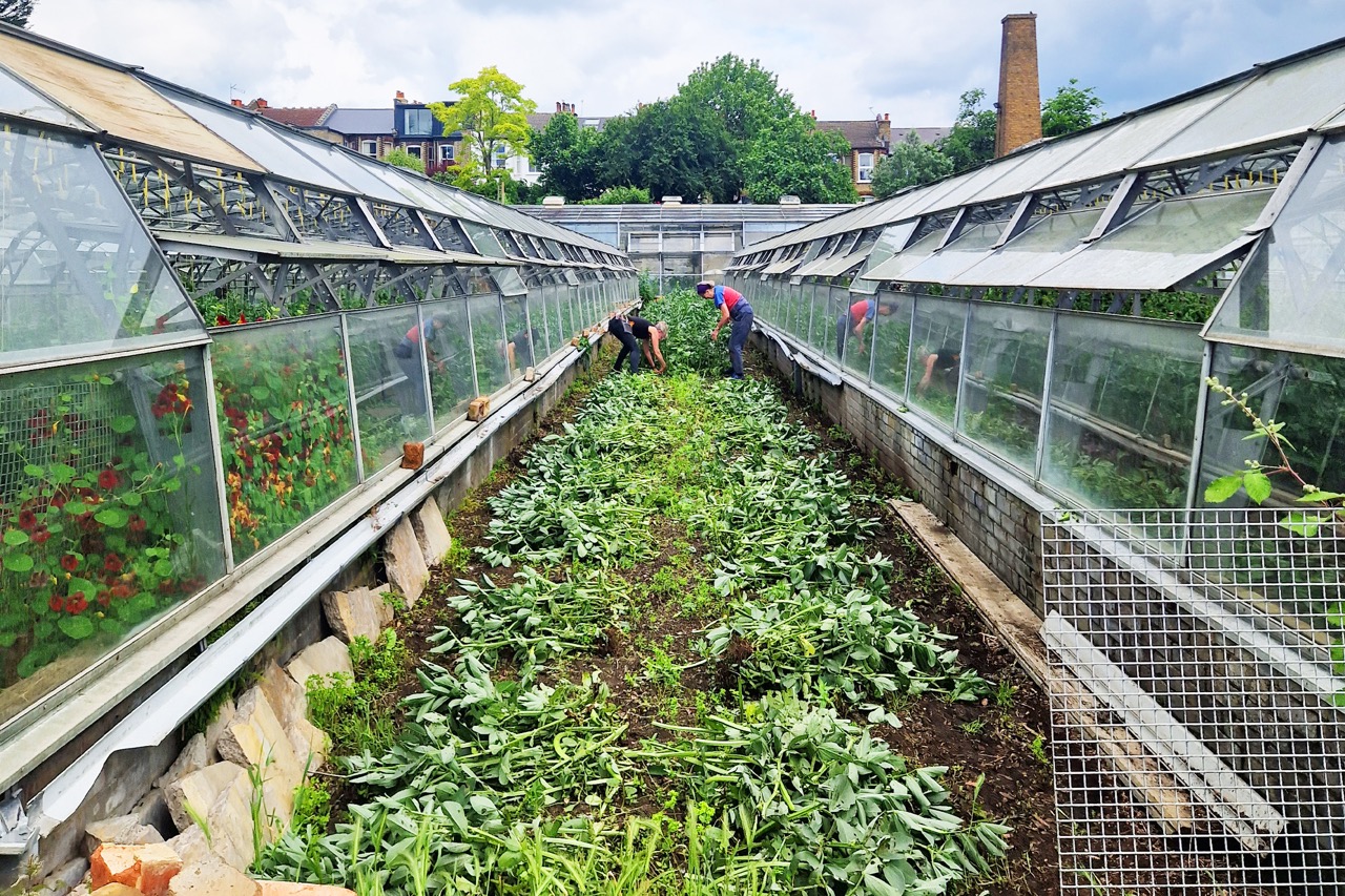 Wolves Lane Farm at ROVI by Ottolenghi