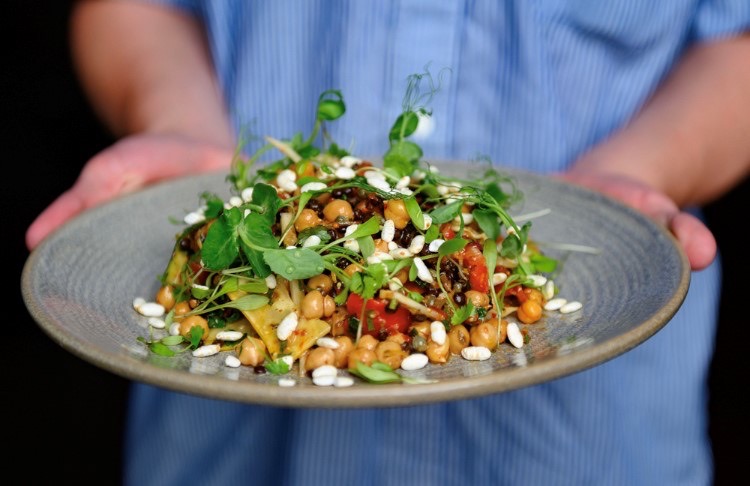 Hands holding plate of. colourful vegan food