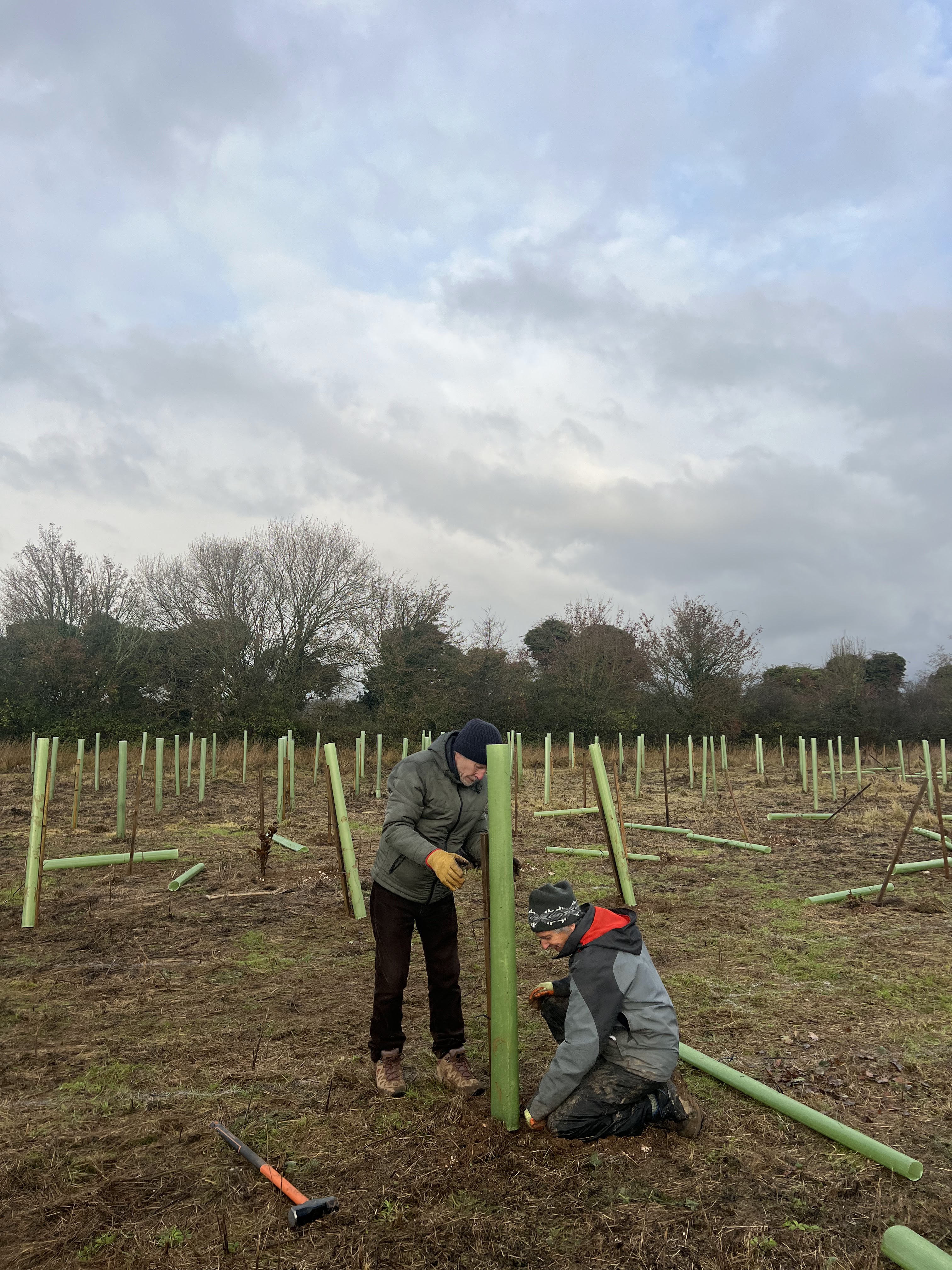 Two men in winter clothes planting trees