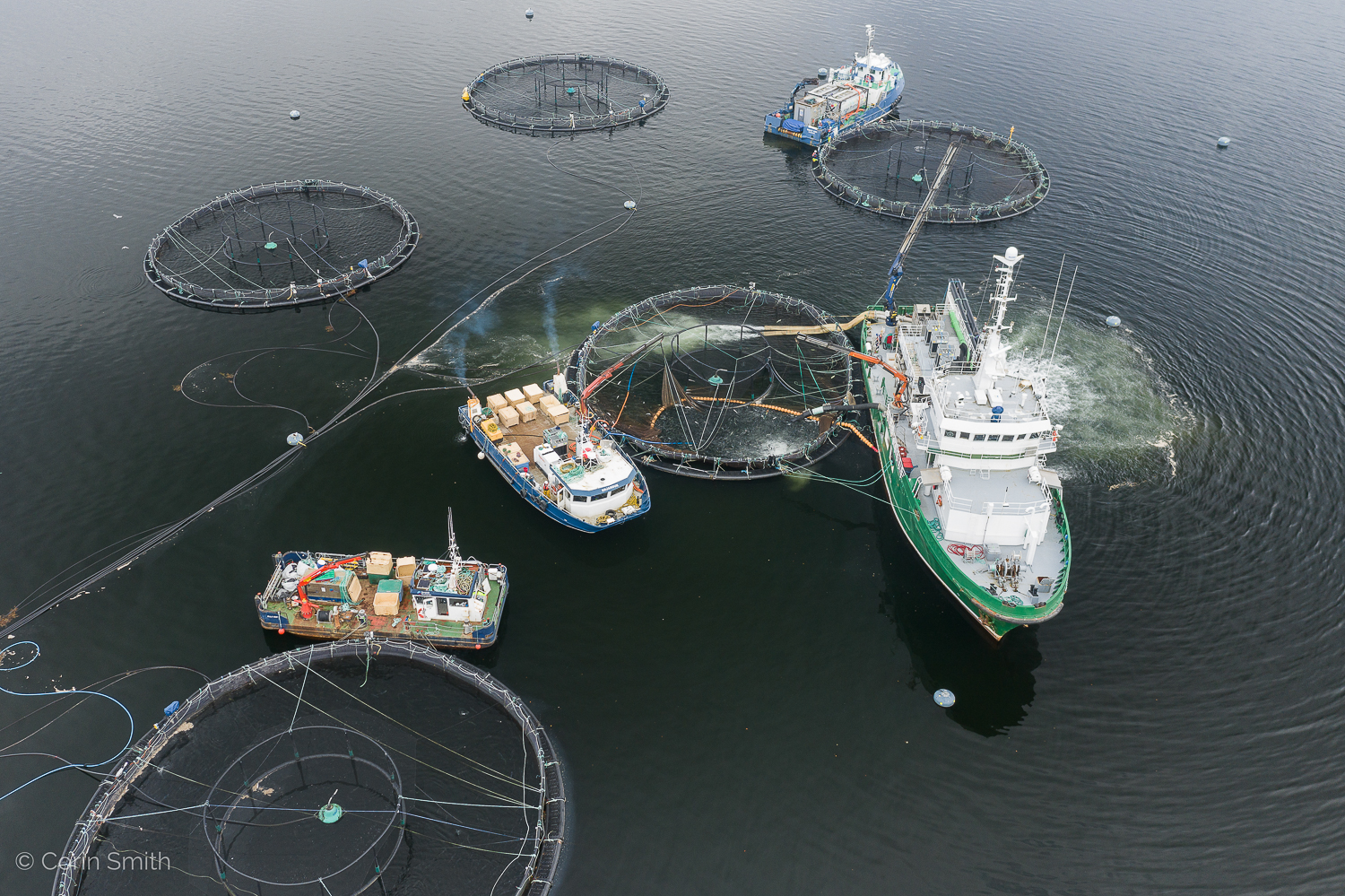 Overhead aerial shot of a salmon farm in open water, copyright Corin Smith and The GSFR