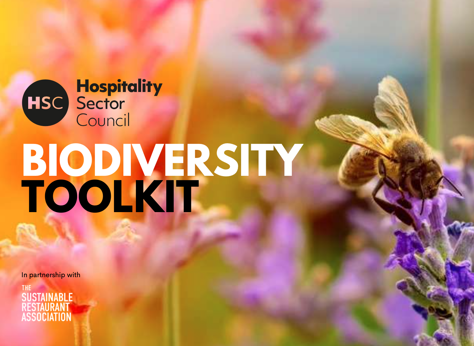 Biodiversity Toolkit cover image