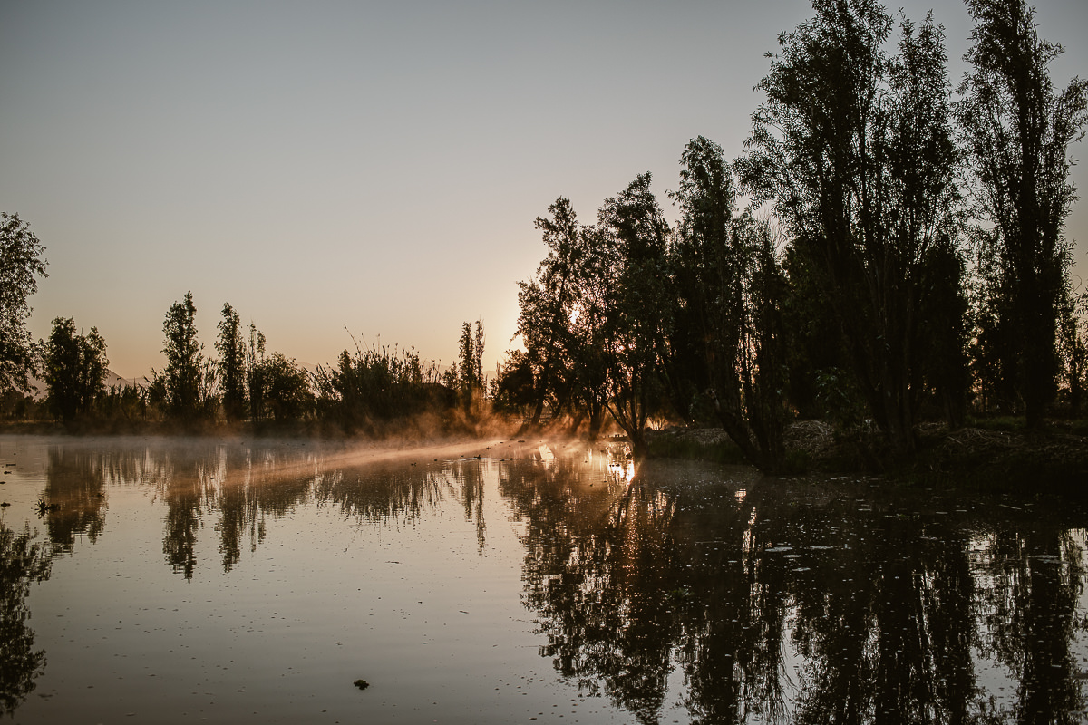 Chinampas in Mexico City