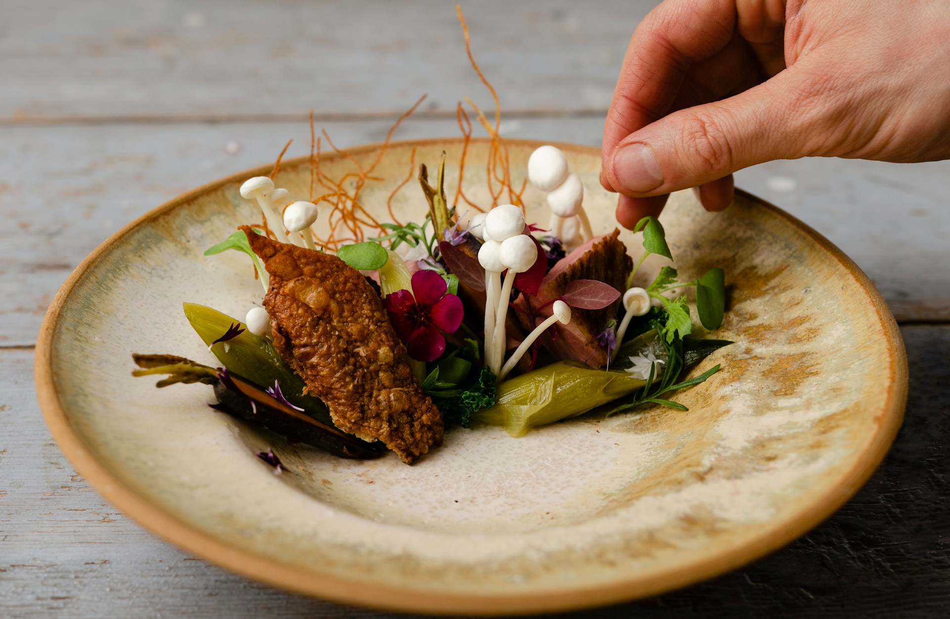 A hand putting the final touches to a fine dining dish with small white mushrooms and vegetables