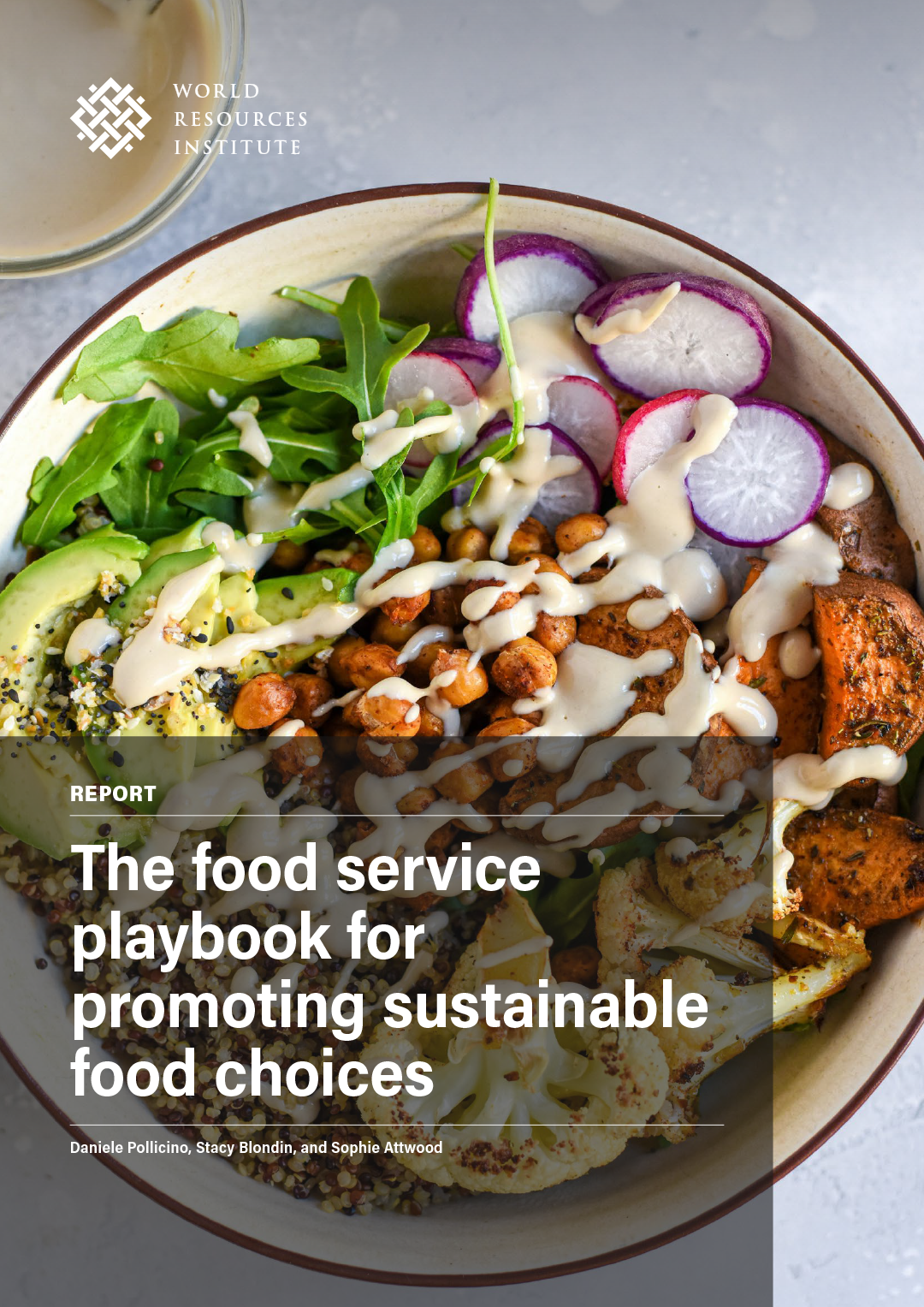 Cover of WRI Playbook 2024