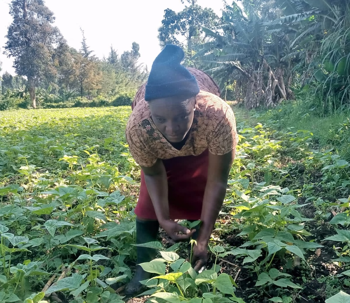 A woman bean farmer in the field in Kenya