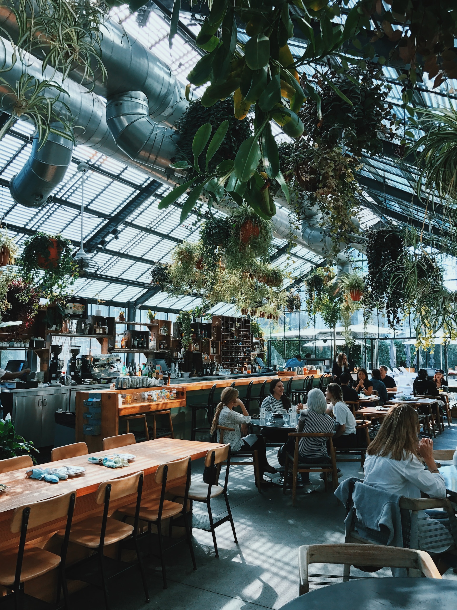 Beautiful restaurant interior with glass roof and hanging plants