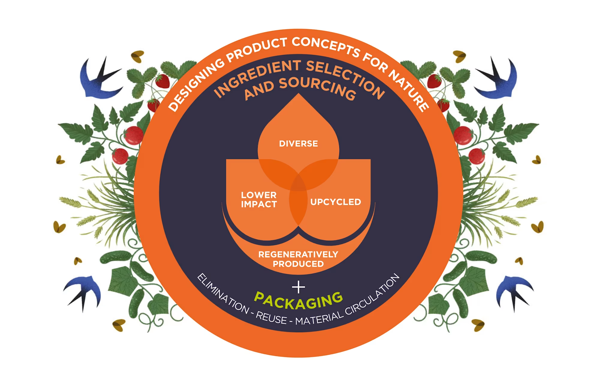 An infographic explaining Ellen Macarthur Foundation's Circular Design For Food
