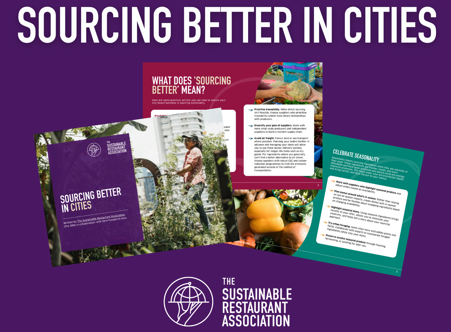 Graphic showing three pages of The SRA's 'Sourcing Better In Cities' toolkit against purple background