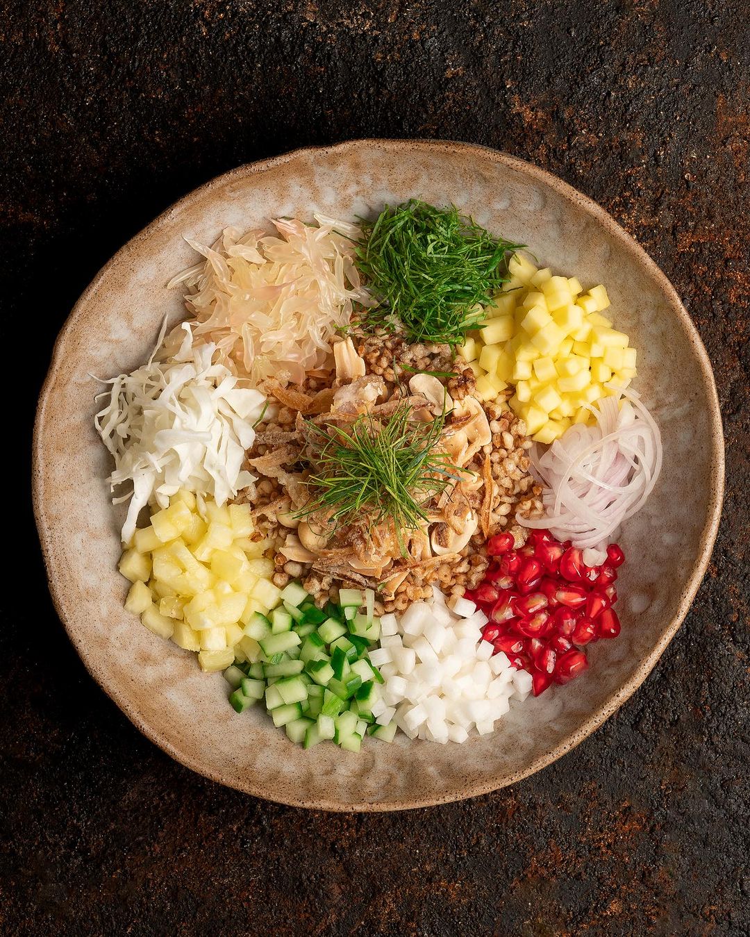 Beautiful plate of finely chopped vegetables, shot from overhead