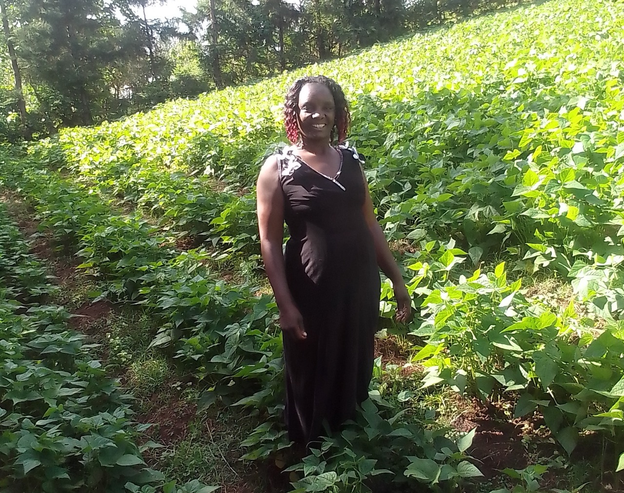 A woman bean farmer in the field in Kenya