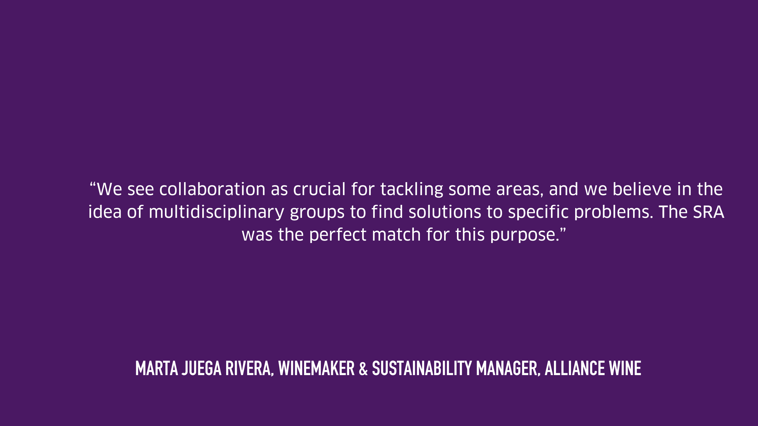 Written testimonial from Alliance Wine, white text on purple background
