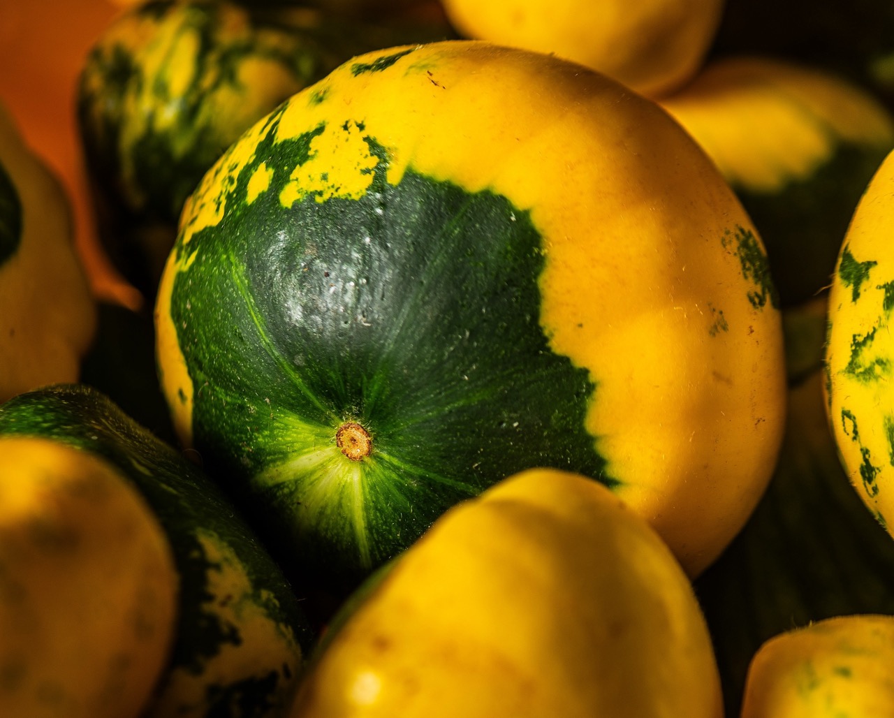 Close-up shot of round yellow and green squashes