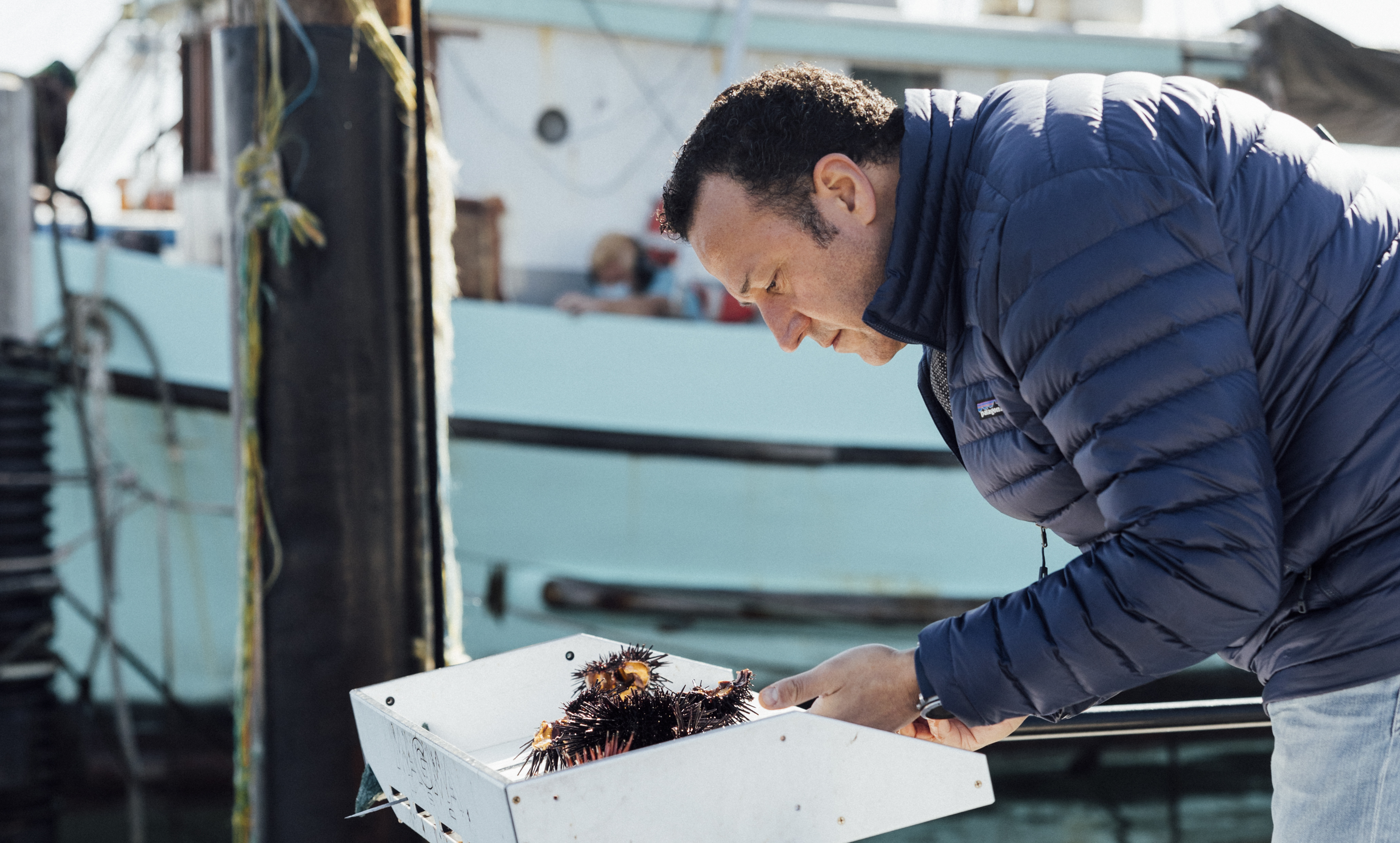 Man on boat bending over white box of sea urchins