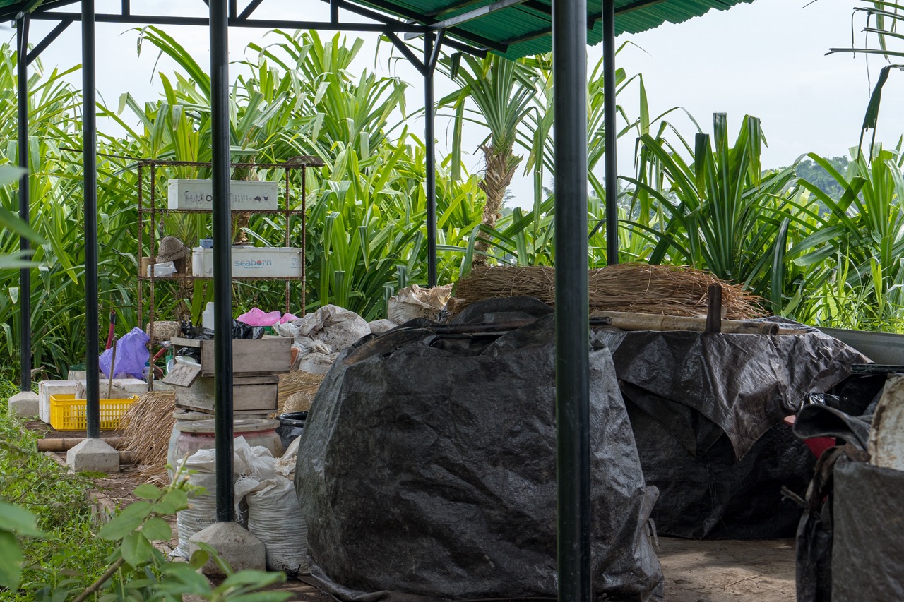 Waste sorting at Locavore NXT, Bali