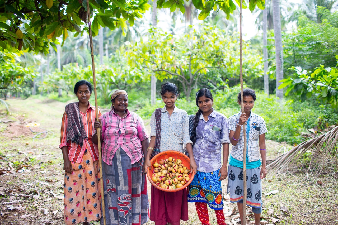 Five local women working on nutmeg and mace farm, smiling at camera and showing basket of harvested produce
