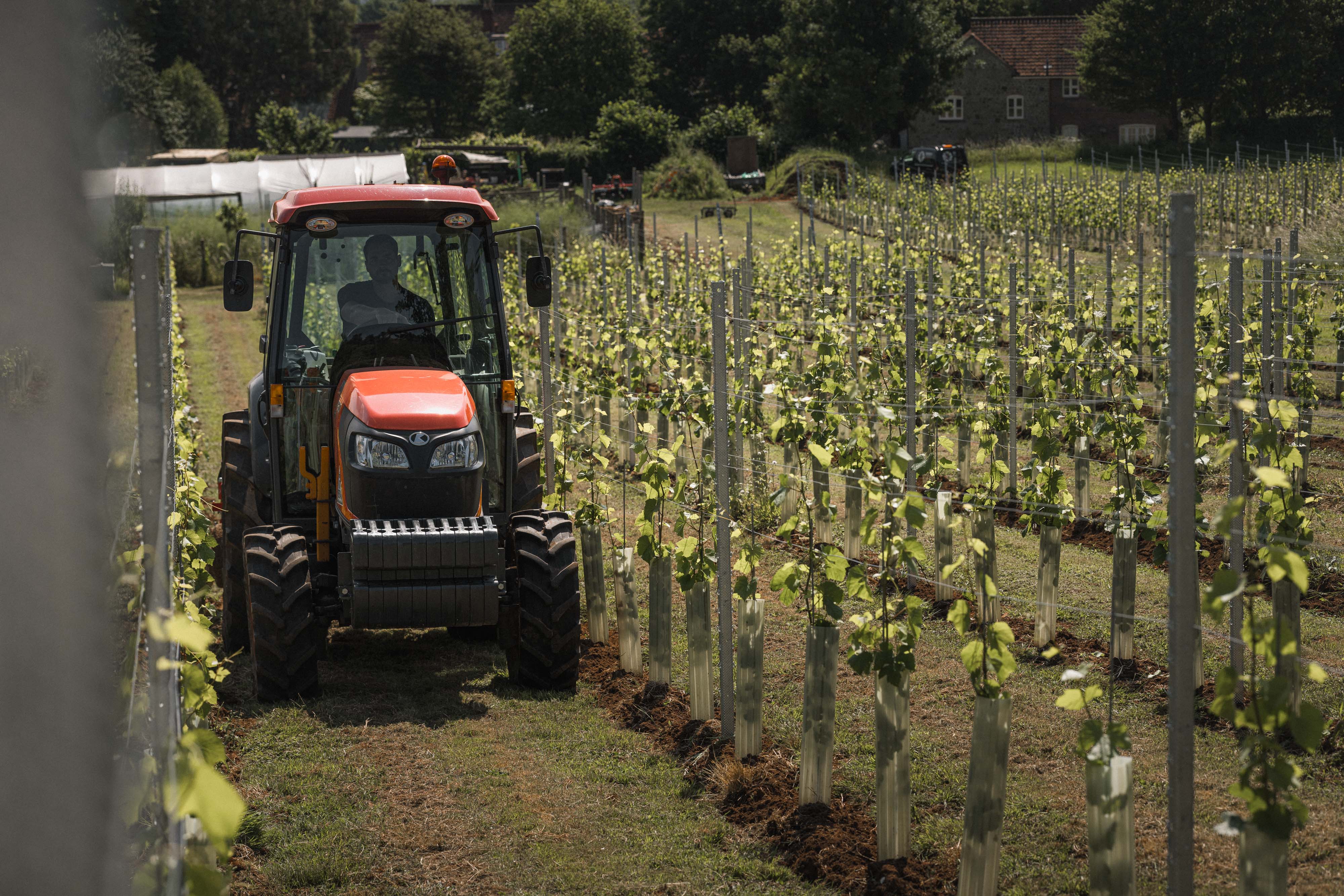 Tractor driving through rows of saplings