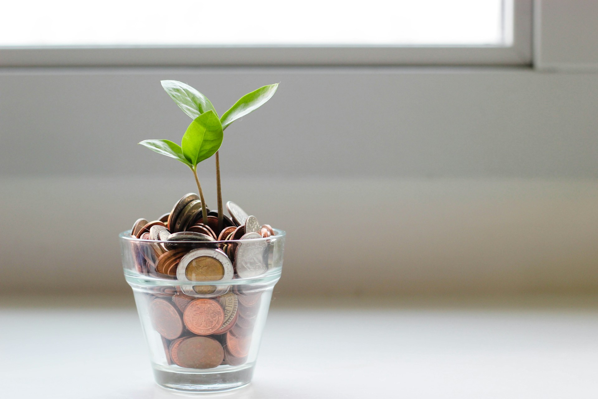 Small glass filled with coins with green shoot growing from the top
