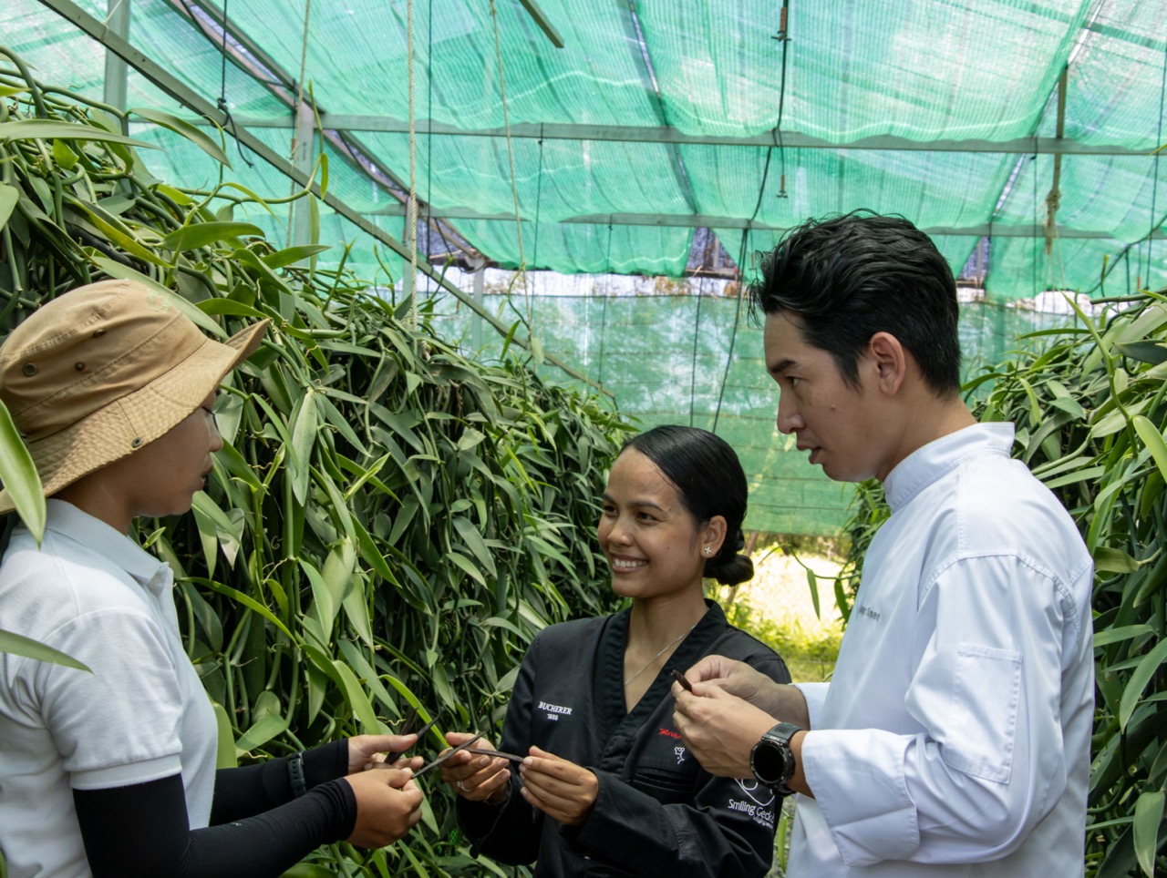 Rosewood Phnom Penh meeting suppliers in polytunnel