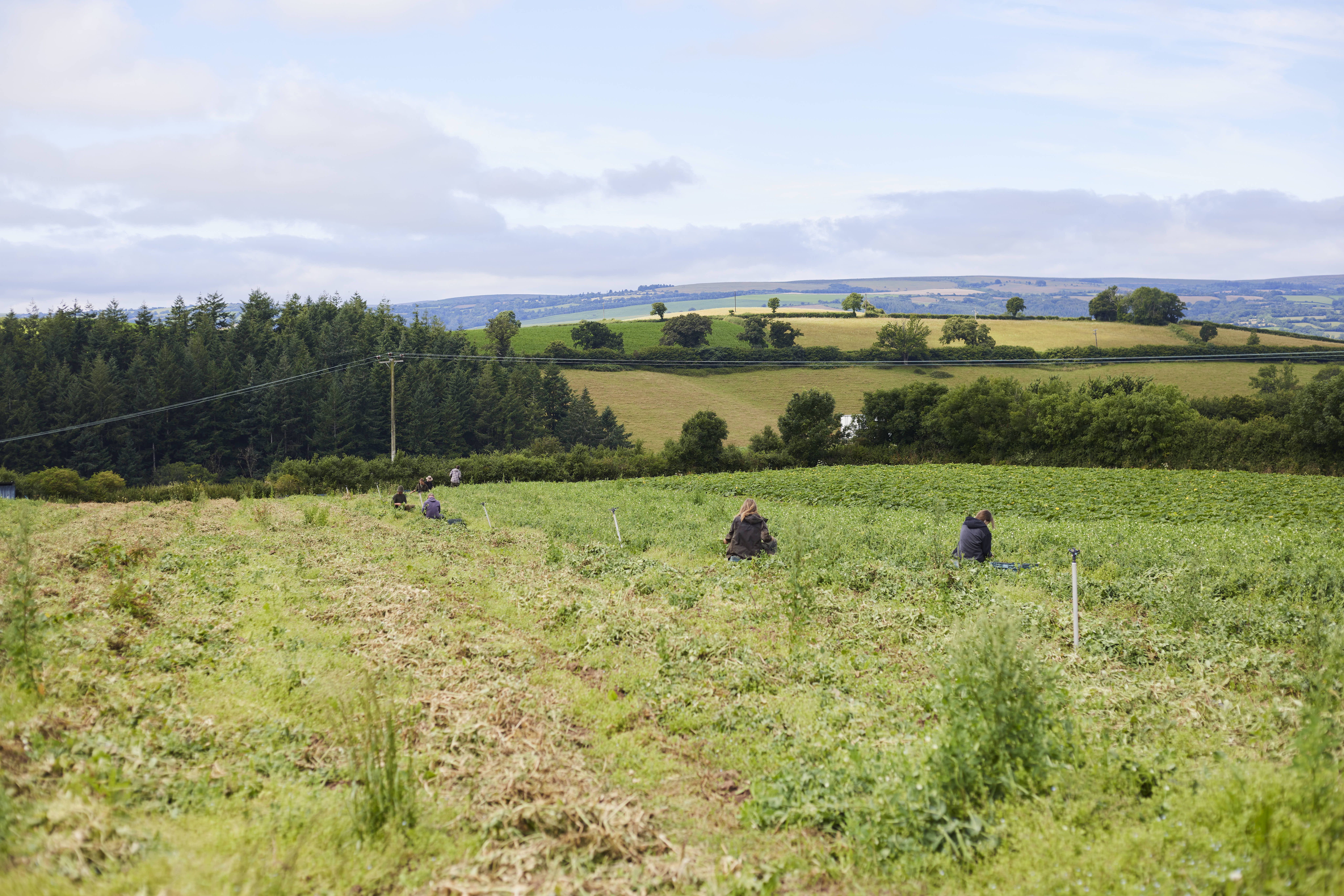 Baddaford Farm with a few employees working across the field