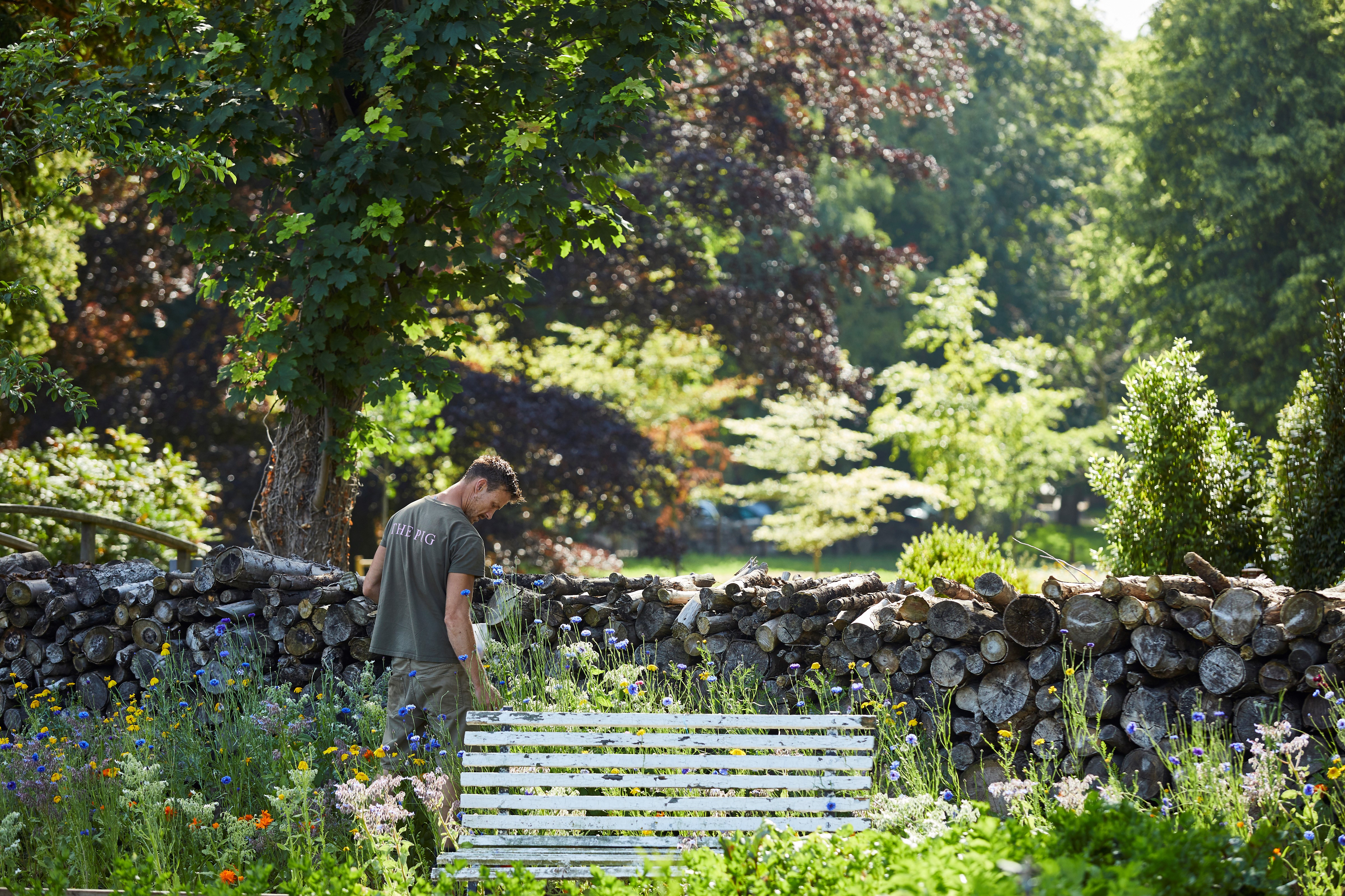 Man with his back to the camera standing in beautiful sunny garden with trees, a bench and a stone wall