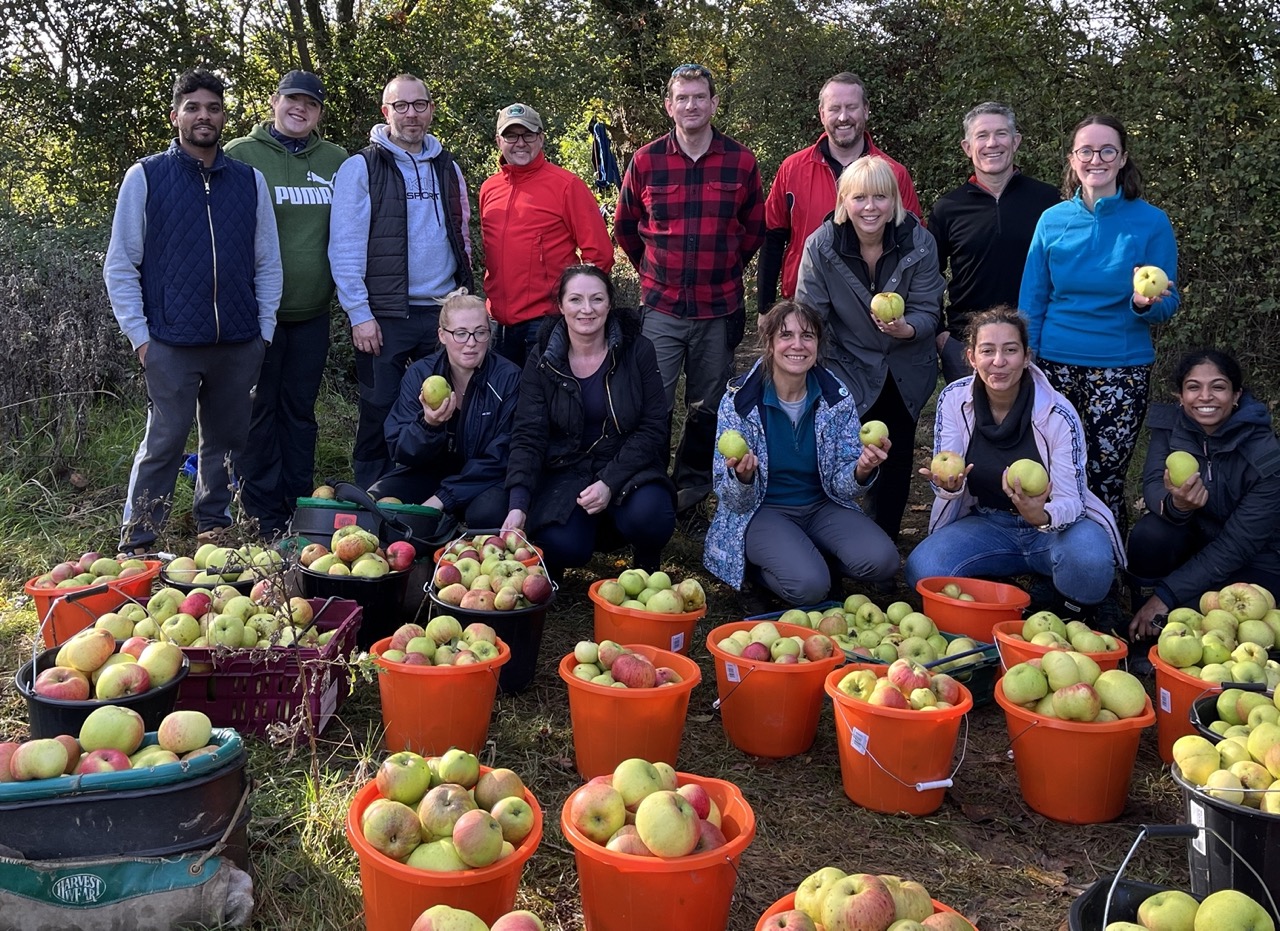 Vacherin Green Teams volunteering for the Felix Project, outdoors with buckets of apples