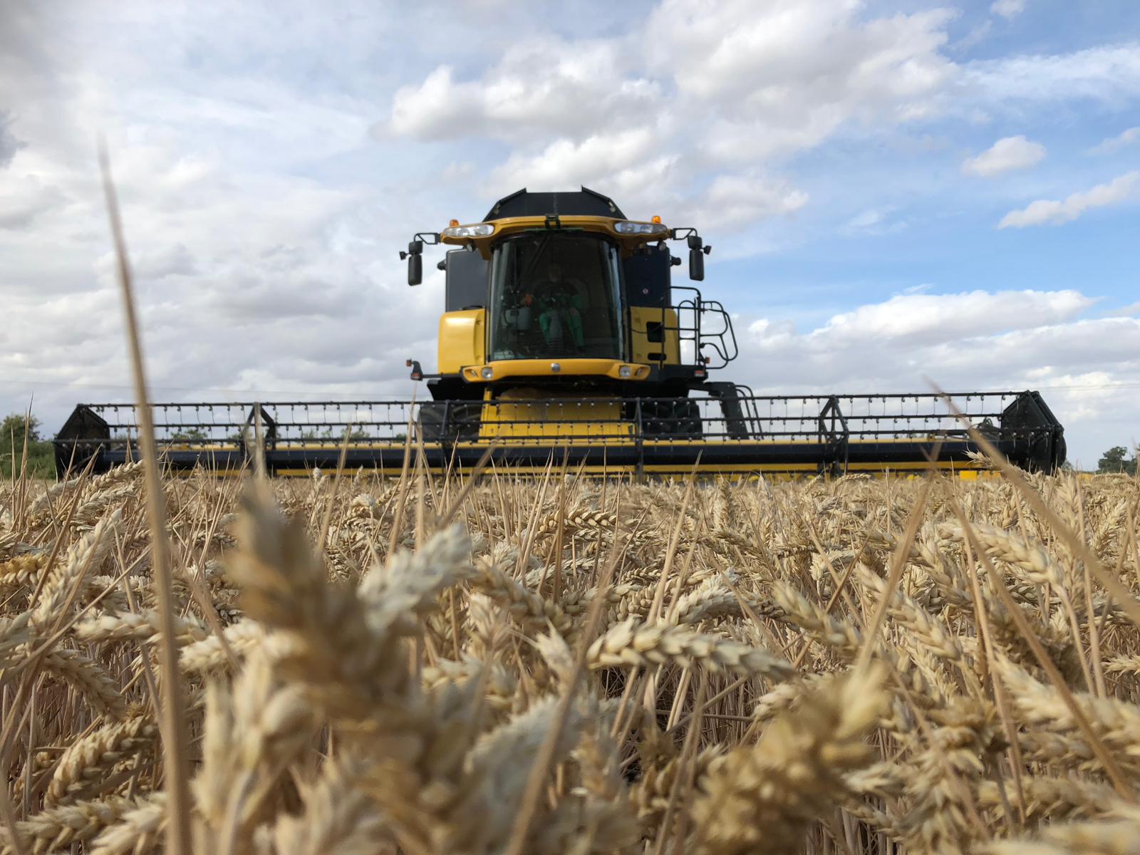 Harvester machine in field of crops