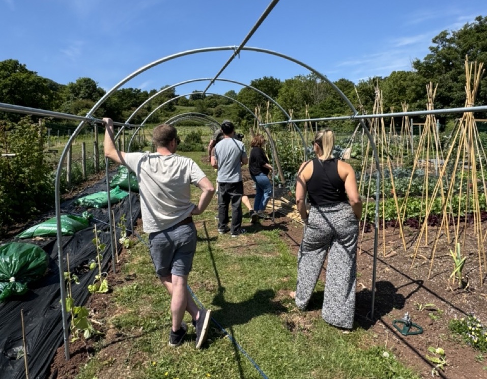 People walking around Pasture's Buttercliffe Farm on a sunny day