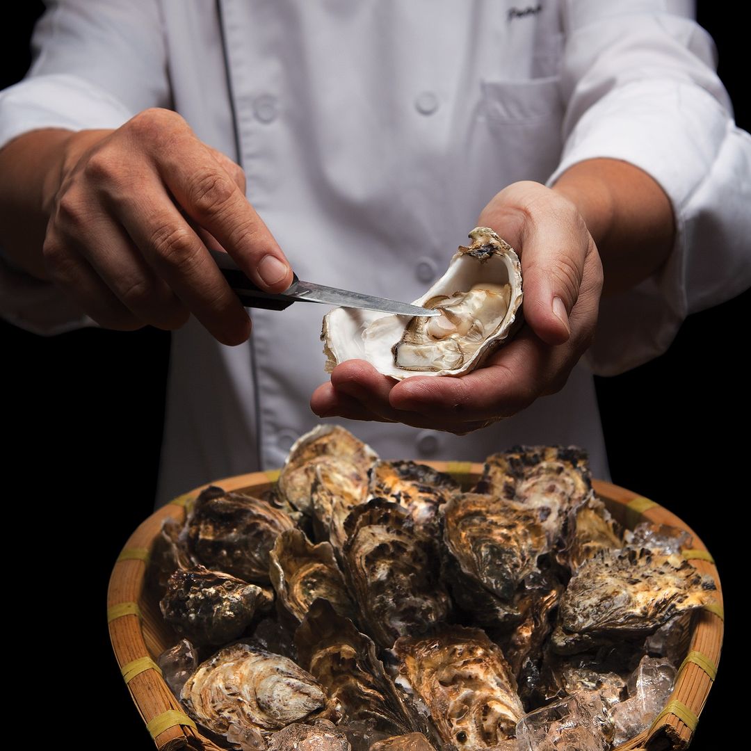 Chef's hands shucking oyster over big basket of oysters