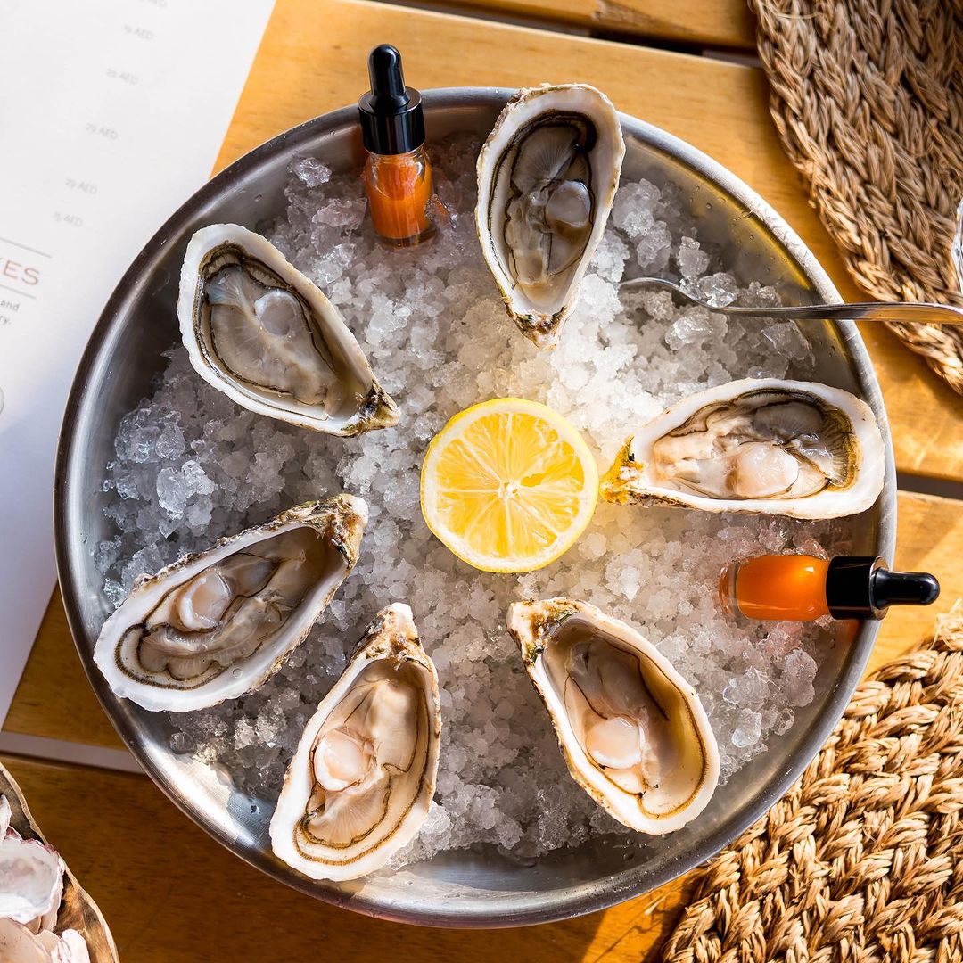Overhead shot of shucked DIBBA BAY OYSTERS on ice