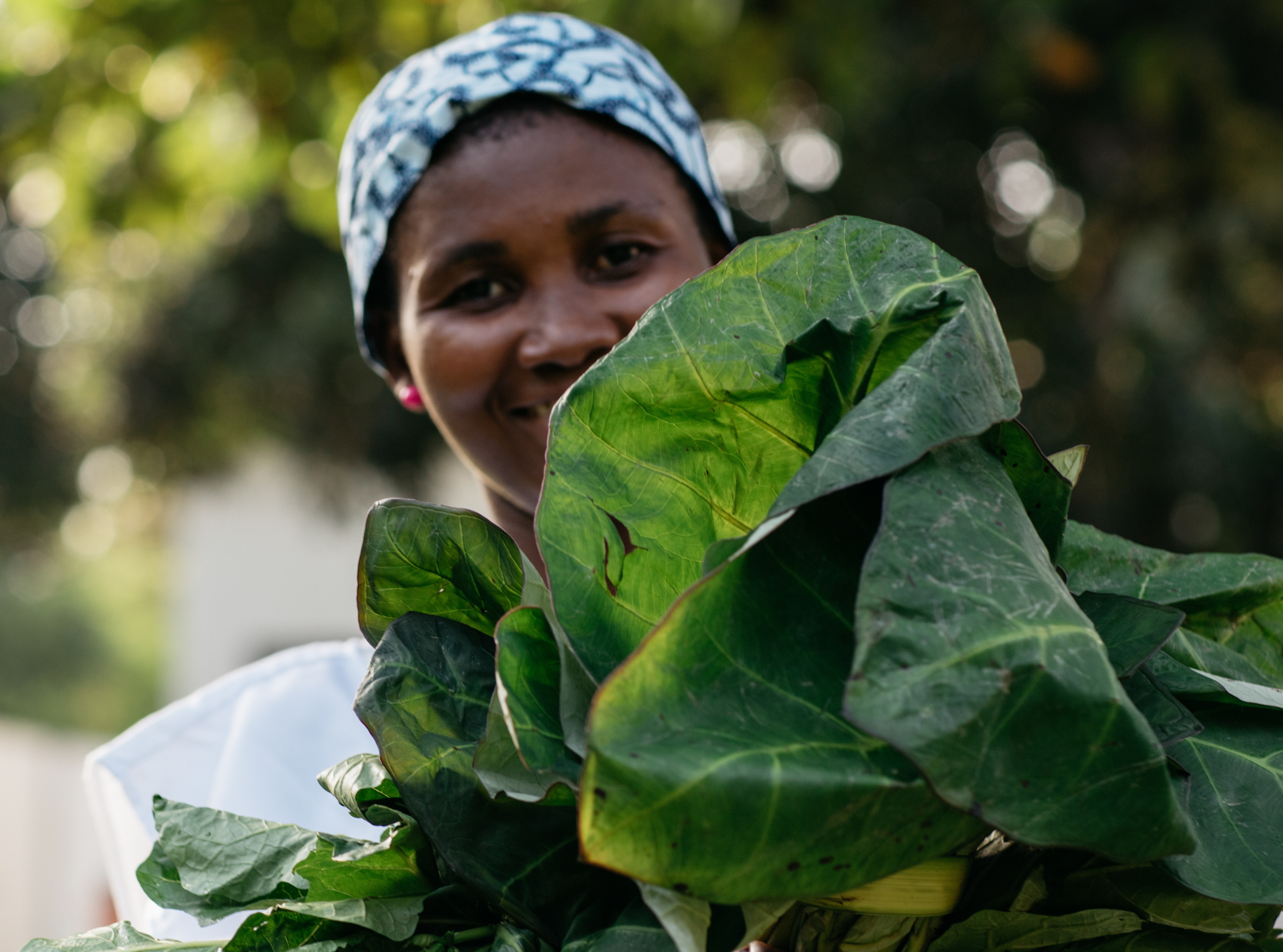 A woman holding Cocoyam Greens