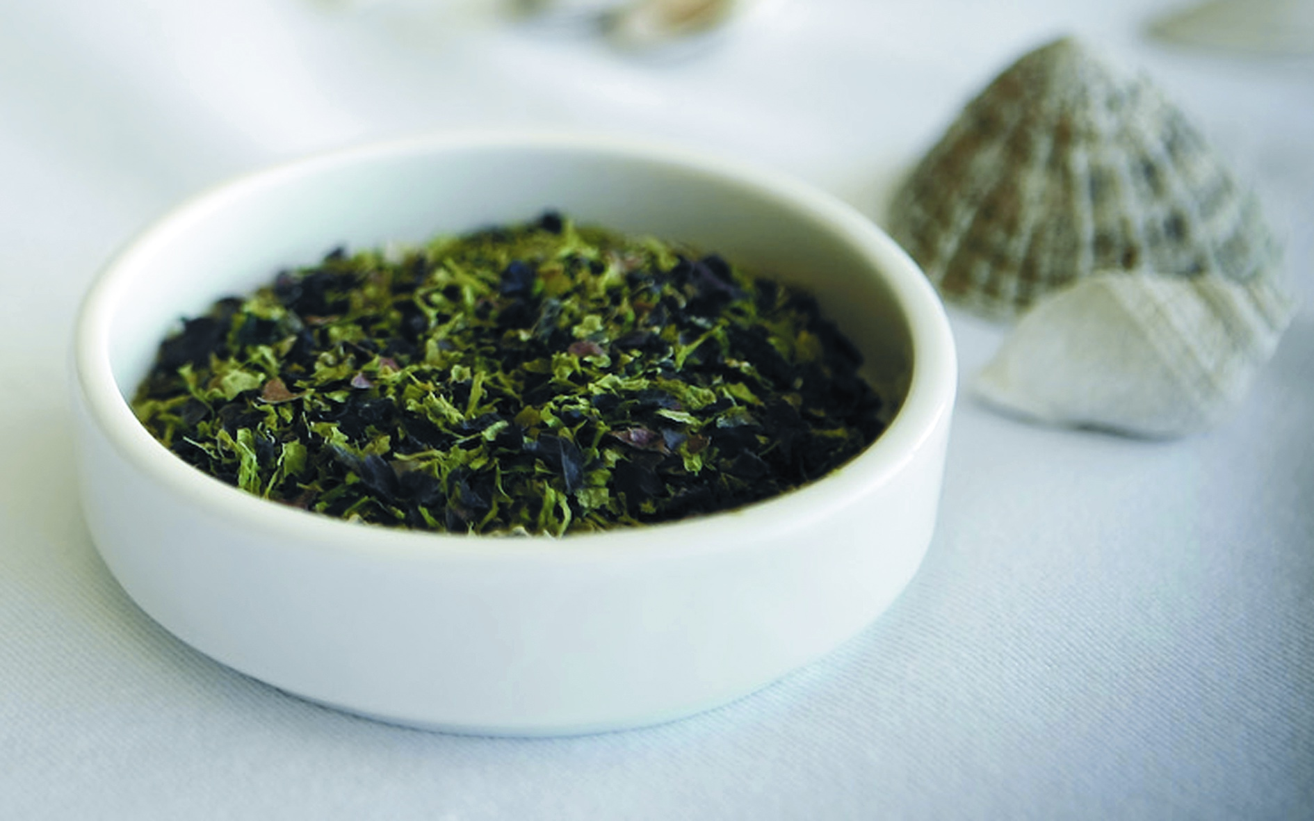 Dried seaweed in white bowl, with shell in background